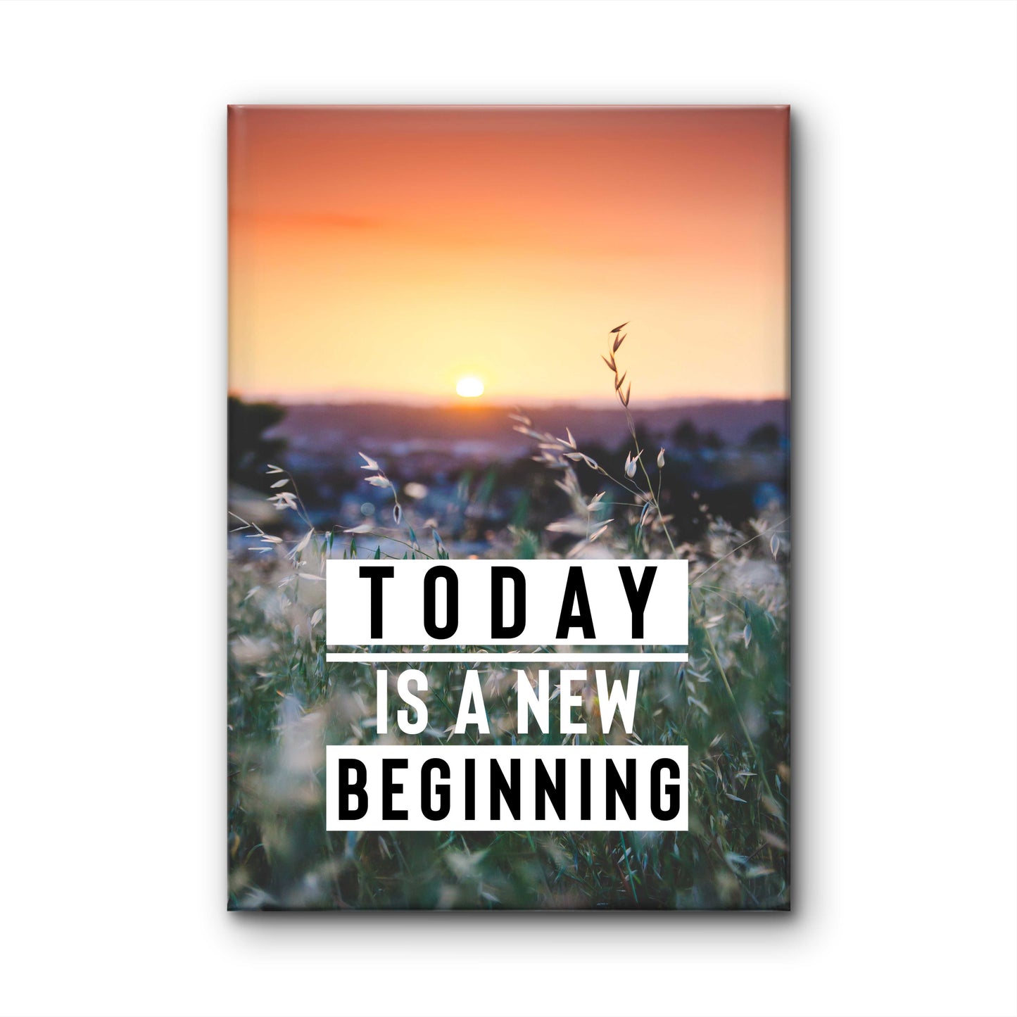 New Beginning