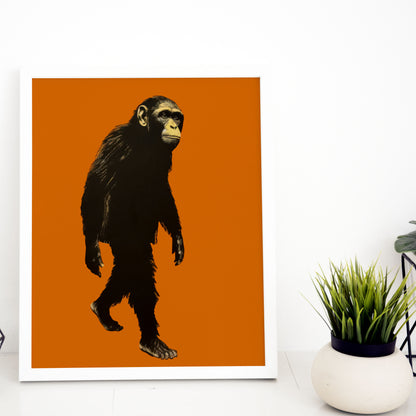 Orange Evolution