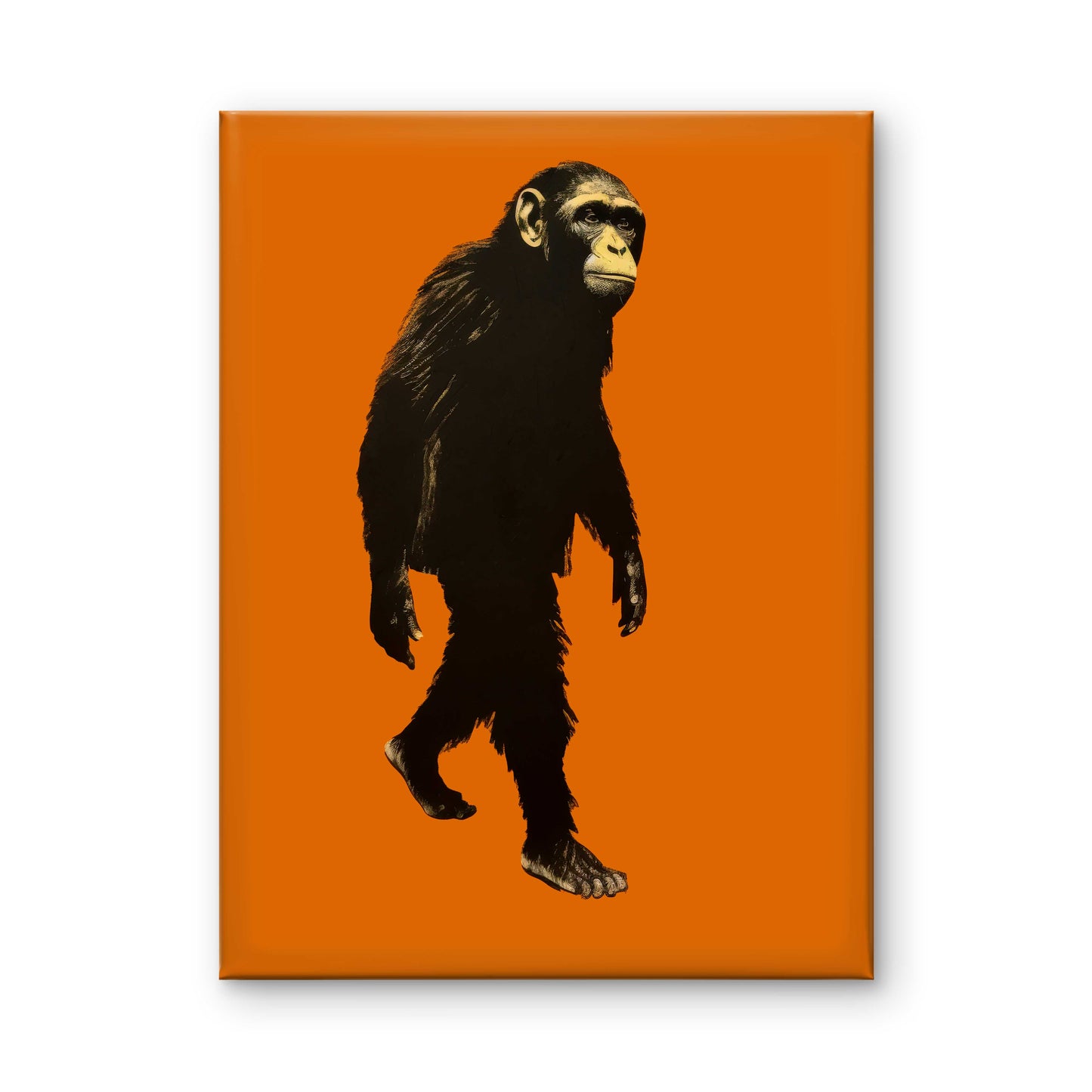 Orange Evolution