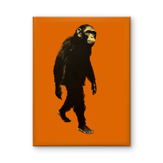 Orange Evolution