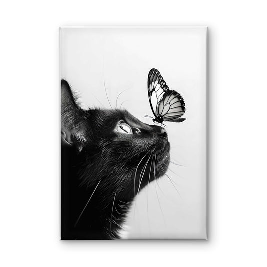 Curious Encounter