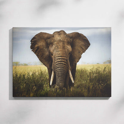 Savanna Majesty