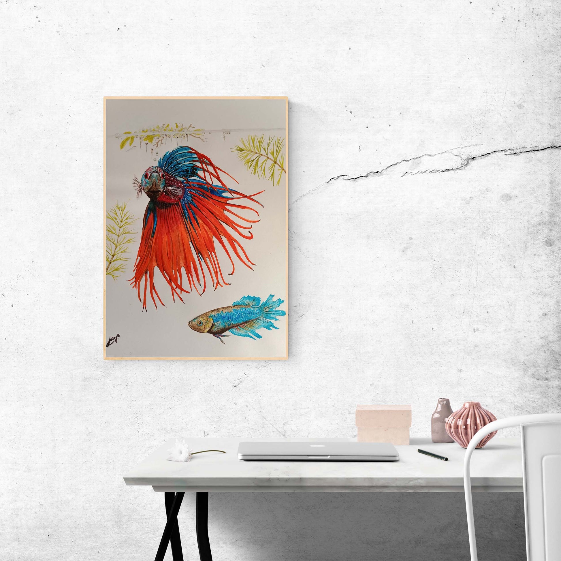 Betta Fish - Klasika